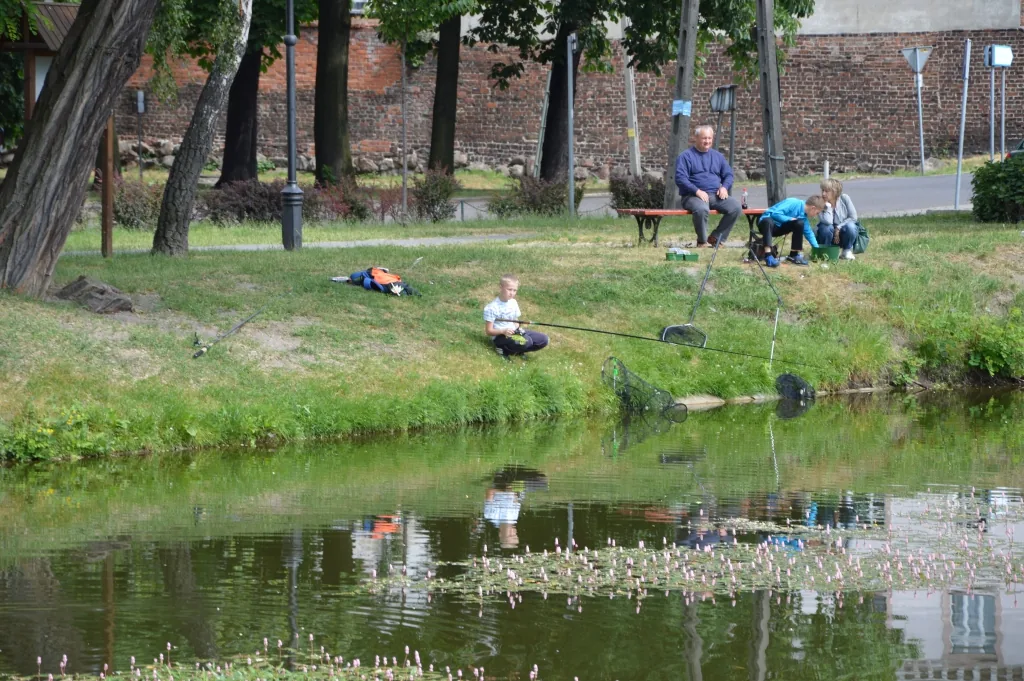 Zawody Miedzyszkolne 2015